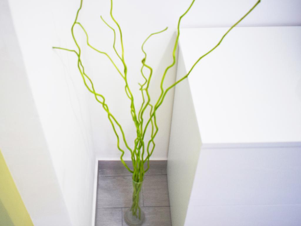 Shower Shows Marsala Ngoại thất bức ảnh
